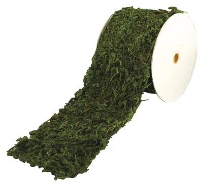 Produktbild von Rayher 5531800 Moosband, 10 cm breit, 200 cm lang