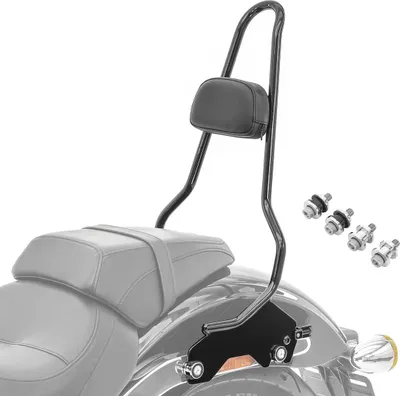 Produktbild von Sissybar für Harley Softail Low Rider ST / S 20-25 # XL Docking Kit sc
