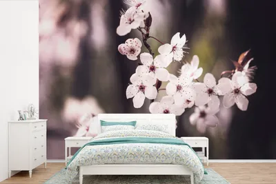 Produktbild von MuchoWow® Fototapete für Wohnzimmer oder Schlafzimmer Wandtapete Vinyl Motivtapete Blumen - Weiß - Natur - Pflanze - Blüte - 600x400 cm - Vinyltapeten