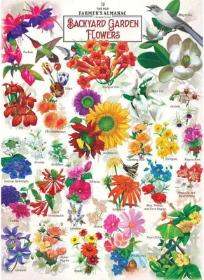 Immagine prodotto di Master Pieces Puzzle Garden Florals 1000 pezzi Puzzle floreale Divertimento