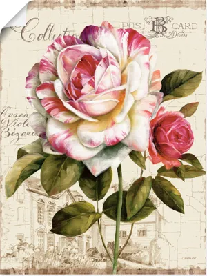 Produktbild von ARTland Poster Garten Blick III Größe: 60x80 cm