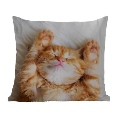 Produktbild von MuchoWow® Outdoor Kissen - Katze - Rot - Haustiere - Kätzchen - 40x40 cm - Wetterfest - Lounge Kissen - Kopfkissen - Interieur - Polster mit Bild