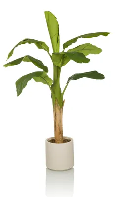 Obrázek produktu pro hjh OFFICE Umělá rostlina BANANE I Umělá rostlina banán Výška 150,0 cm Dekorace