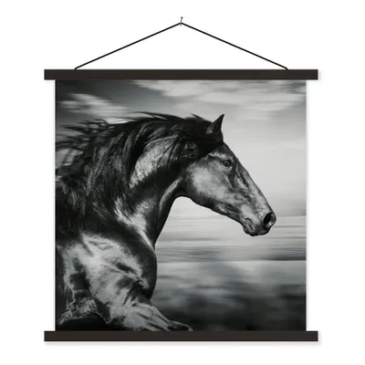 Produktbild von MuchoWow® Textilposter Pferd - Tiere - Schwarz - Weiß 90x90 cm mit schwarzem Rahmen - Magnetisches