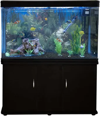 Produktbild von 300 Liter Heimaquarium Aquarium mit Unterschrank Aquariumkobination 143.5cm H x 120.5cm B x 39cm T