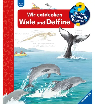 Immagine prodotto di Wir entdecken Wale und Delfine