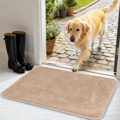 Immagine prodotto di Tappetino interno, altamente assorbente, 60 x 90 cm, antiscivolo, ideale per l'ingresso
