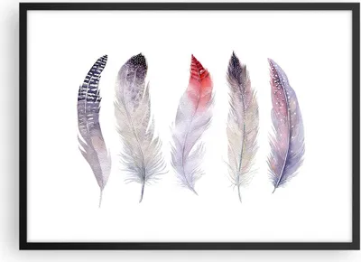 Produktbild von Gerahmtes Poster - Schwarzer Rahmen - Feder Tier Vogel Komposition - 70x50 cm - Wand Bild - Wanddeko - Wandbilder - Wandposter - Bilderrahmen - Bilder - Kunstdruck - Wandbild - P2BAA70x50-2951