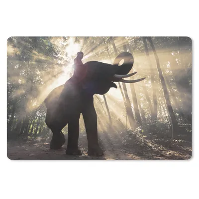 Produktbild von MuchoWow® Mauspad Mousepad Elefant mit Person in hellem Sonnenlicht 27x18 cm - Mousepads - Maus Mat - Pad - Mausunterlage - Büroartikel - Desk Matten