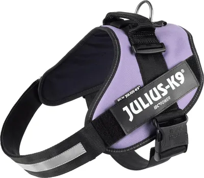 Produktbild von Julius-K9 IDC Powergeschirr lila, Größe: 3 / XL