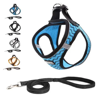 Immagine prodotto di Imbracatura per cani con guinzaglio antistrappo, riflettente, per cani di piccola taglia e gatti, colore blu, taglia M