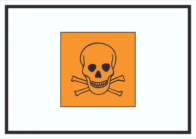 Produktbild von Schild Gefahrensymbol giftig Symbol Totenkopf A3 (297x420mm)