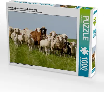 Produktbild von Calvendo Schafherde am Deich in Ostfriesland 1000 Teile Puzzle quer 640x480mm, Pötsch Rolf; 7317687