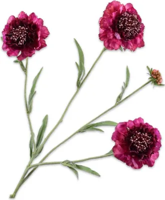 Produktbild von Silk-ka Künstliche Blumen-Seidenblumen Scabiosa-Zweig Lila-Rosa 80 cm