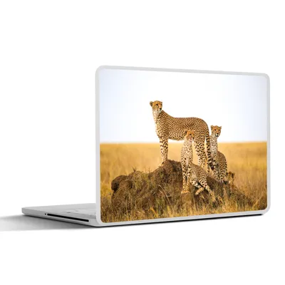 Produktbild von MuchoWow® Laptop Aufkleber Sticker Cover Gepard - Gras - Natur - Savanne 40x30 cm - Laptop Dekoration - Selbstklebend