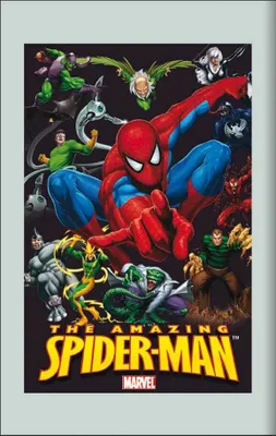 Produktbild von KS228 Spider-Man - Marvel Held - Bedruckter Spiegel