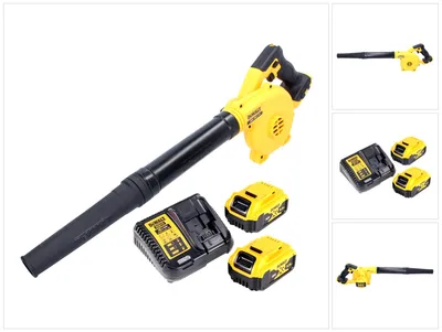 Image de DeWalt DCV 100 P2 Souffleur de feuilles sans fil 18 V + 2x Batteries 5,0 Ah + Chargeur