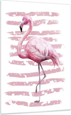 Produktbild von Bilder auf glas - Einteilig - Flamingo Vogel Wasser - 70x100cm - Glasbilder - Wandbilder - Bilder - zum Aufhängen bereit - Wanddekoration aus Glas - Glas Bilder - Wandbild auf Glas - GPA70x100-3938