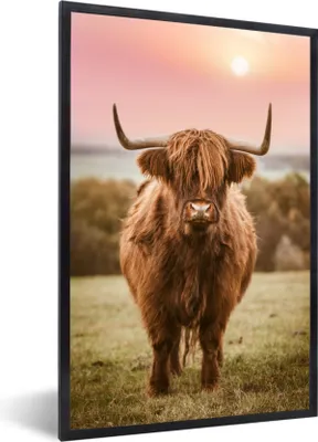 Produktbild von MuchoWow® MuchoWow® Gerahmtes Poster Sonnenuntergang - Tier - Schottisches Hochlandrind 60x90 cm - Poster mit zchwarzem Bilderrahmen - Kunst