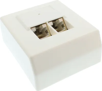 Image de InLine® 74202 Cat.5e prise de raccordement, AP 2x RJ45 prise femelle, RAL 9010, blanc