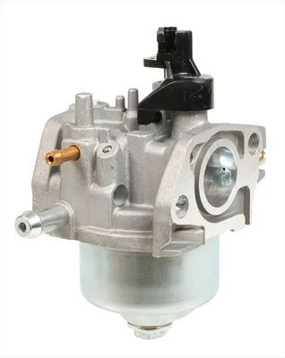 Zdjęcie produktu dla Gaźnik MTD 1P70RH, 1P70RHA, 2P70RHB, 2P70MHC, 2P70MHD RO20821