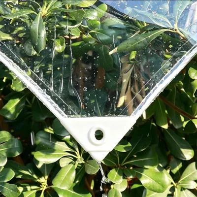 Transparente PVC-Abdeckplane 2,5x3m, 650 g/m², mit Ösen
