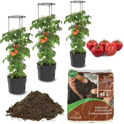 Immagine prodotto di 3x pianta di pomodoro in vaso di plastica 18 L + terriccio universale 45 L substrato 4 in 1 con microrganismi per ortaggi, coltivatore di pomodori, vaso di pomodori, fioriera, ortaggi, rondella di pomodoro