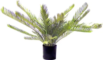 Produktbild von Kunstpflanze Palme Cycas revoluta H 90 cm