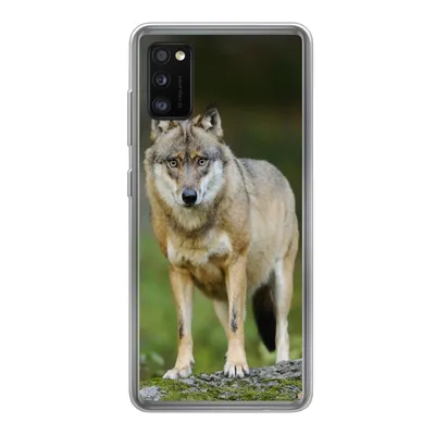 Produktbild von MuchoWow® Handyhülle Schutzhülle Hülle für Samsung Galaxy A41 Wolf - Asien - Pflanzen Silikon Softcase Handy Hülle - Mobiltelefon