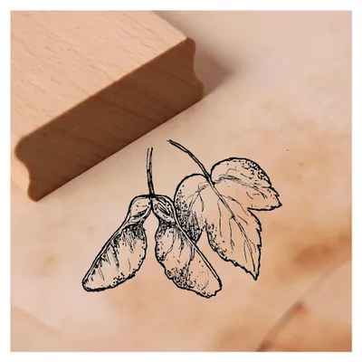 Produktbild von Ahornfrucht Motivstempel - Holzstempel mit Abdruckgröße 48 x 38 mm