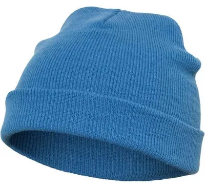 Image de Flexfit - Casquette TN1327 (taille unique) (bleu Carolina)