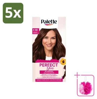 Obrázek produktu pro 5 kusů barvy Palette Perfect Gloss, dočasné intenzivní barvivo, omyvatelné, odstín 1-0 Černá – výhodná sada