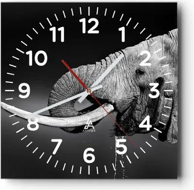 Produktbild von Wanduhr - Quadrat - Glasuhr - Elefant Stoßzahn Natur - 40x40cm - Schleichendes Uhrwerk - Lautlos - zum Aufhängen bereit - Dekoration Modern - Wanddekoration aus Glas - C4AC40x40-3443