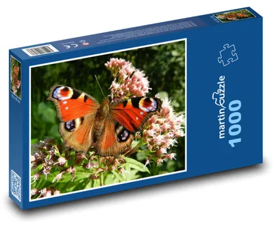 Zdjęcie produktu dla Puzzle 1000 Rusałka pawik na kwiecie - martinpuzzle