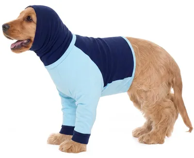 Produktbild von Schutzanzug für Hunde mit Hals- und Vorderbeinprotektion