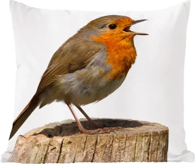 Produktbild von MuchoWow® Zierkissen Sofakissen Wohnzimmer Dekokissen 45x45 cm Rotkehlchen - Vogel - Holz - Schlafpolster - Polster für das Sofa