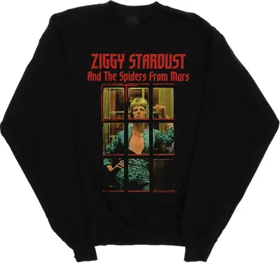 Produktbild von David Bowie - Sweatshirt für Herren BI19397 (XXL) (Schwarz)