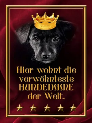 Produktbild von vianmo Holzschild 40x30 cm hier wohnt Hundedame der Welt