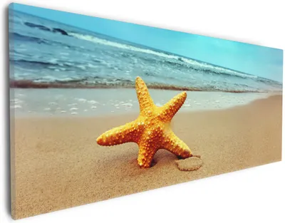 Produktbild von Wallario Premium Leinwandbild Seestern am Strand am Meer in Größe 30 x 75 cm