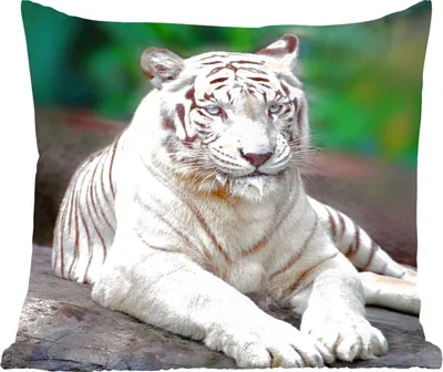 Produktbild von MuchoWow® Zierkissen Sofakissen Wohnzimmer Dekokissen 50x50 cm Weißer Tiger - Baumstamm - Wald - Komfort - Sofakissen