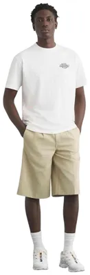 Immagine prodotto di T-shirt Dickies DK0A88JW0WH1 da Uomo