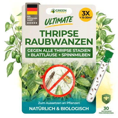 Produktbild von Orius Raubwanzen gegen Thripse - 3x Röhrchen - Thripse bekämpfen, Raubwanzen gegen Thripse, Mittel gegen Thripse, Blattläuse bekämpfen, Effektiv