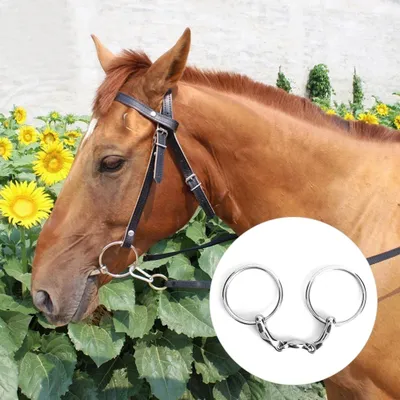 Image de Mors à anneau en acier inoxydable,Mors à anneau en acier inoxydable,Accessoires pour outils de chevaux,Mors à anneau tout usage