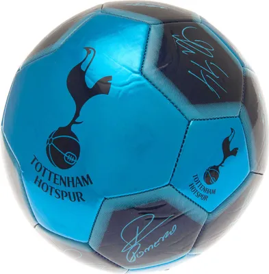 Obrázek produktu pro Tottenham Hotspur FC - Fotbalový míč s podpisy "To Dare Is To Do" TA10979 (5) (modrá/modrá)