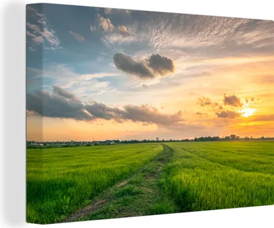 Produktbild von OneMillionCanvasses® - Leinwandbilder - 140x90 cm, Wiese in Thailand, Wandbilder Kunstdruck Wanddekoration