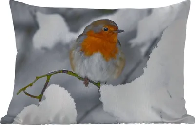 Produktbild von MuchoWow® Outdoor Kissen - Rotkehlchen - Schnee - Winter - 60x40 cm - Wetterfest - Lounge Kissen - Zierkissen - Kissen für Innenräume