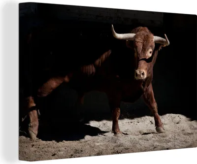 Produktbild von OneMillionCanvasses® - Leinwandbilder - 140x90 cm, Ein brauner Stier vor schwarzem Hintergrund, Wandbilder Kunstdruck Wanddekoration