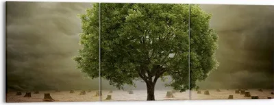 Produktbild von Bild auf Leinwand - Leinwandbild - Baum Feld Umwelt - 150x50cm - Wand Bild - Wanddeko - Wandbilder - Leinwanddruck - Bilder - Kunstdruck - Wanddekoration - Leinwand bilder - Wandkunst - CA150x50-2727