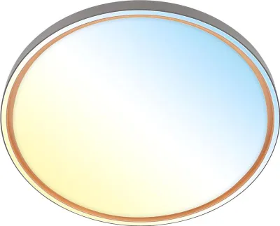 Image de Plafonnier LED Plafonnier Salon Dimmable T lCCT Couloir