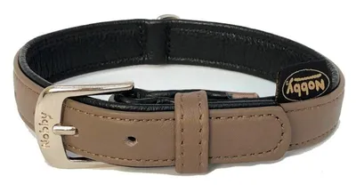 Obrázok produktu pre Nobby 78140-94, Pes, Štandardný obojok, Šedá, Jednofarebné, XS, 1,2 cm